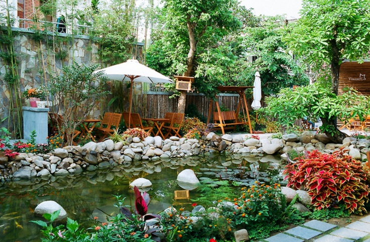 thiết kế thi công hồ cá Koi