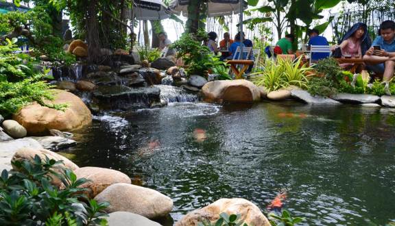thiết kế thi công hồ cá Koi