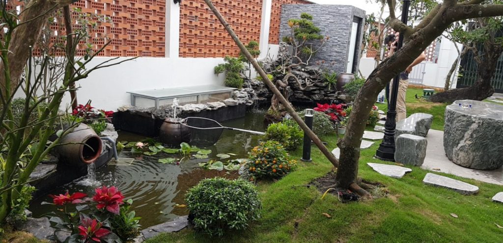thiết kế thi công hồ cá Koi