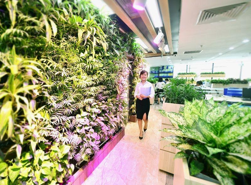 Thiết kế nội thất văn phòng xanh
