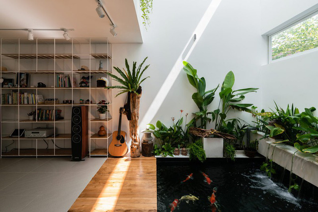 thiết kế thi công hồ cá koi