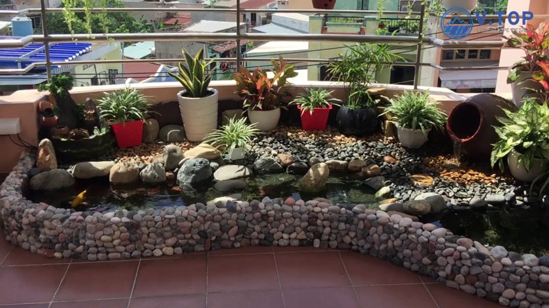 thiết kế thi công hồ cá koi