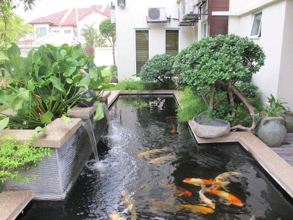 thư giãn với thiết kế thi công hồ cá koi