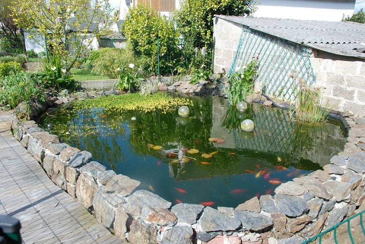 Hồ cá koi sân vườn ấn tượng