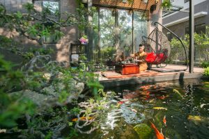 thiết kế thi công hồ cá koi chuyên nghiệp