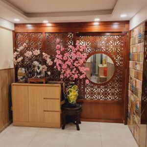Vách cửa lùa phòng khách CL20