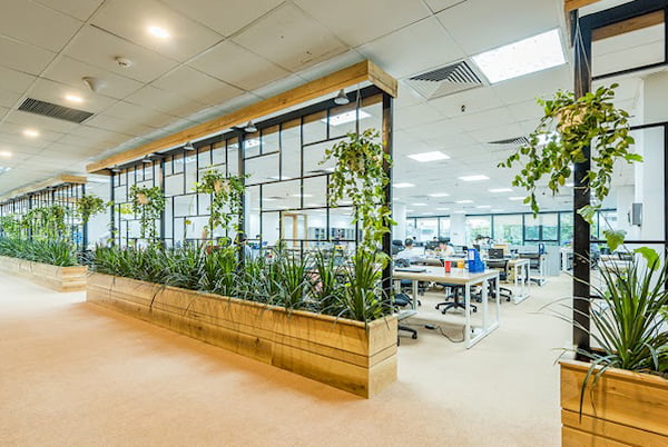 thiết kế nội thất văn phòng