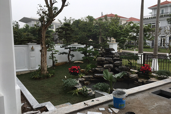 thiết kế thi công hồ cá koi