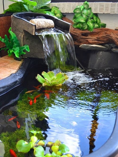 thiết kế thi công hồ cá koi