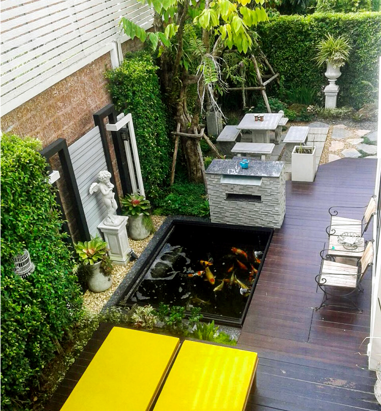 thiết kế thi công hồ cá Koi